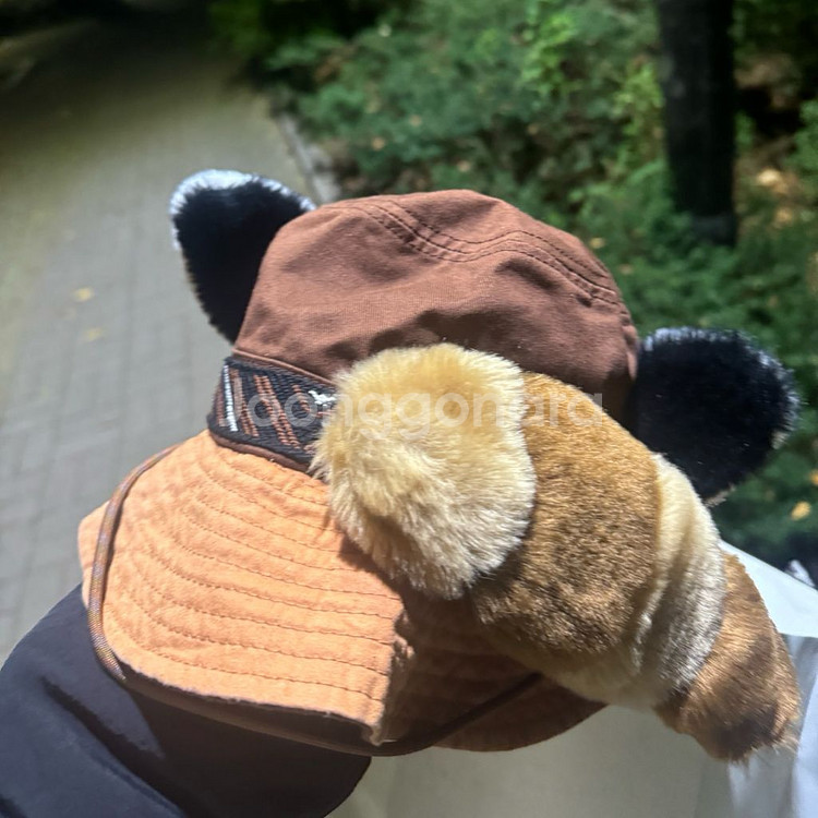 에버랜드 모자 레서 판다 모자 (일괄 구매 할인가능)--0