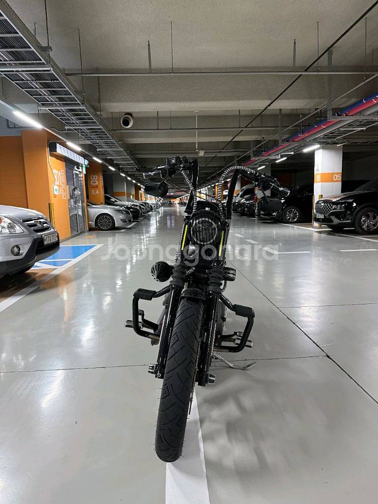 할리데이비슨 아이언883--0