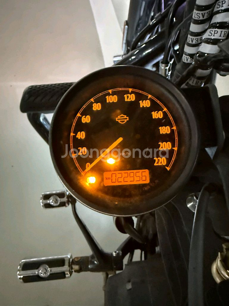 할리데이비슨 아이언883--6