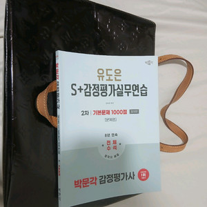 유도은 감평실무연습책