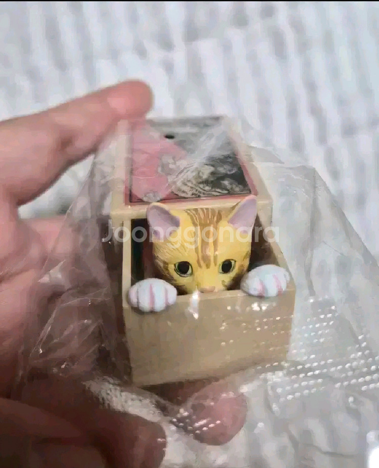 [희귀 가챠]성냥갑 속 고양이(치즈) 가챠 판매합니다.--0