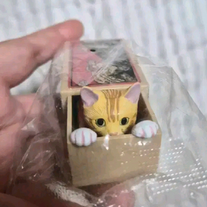 [희귀 가챠]성냥갑 속 고양이(치즈) 가챠 판매합니다.