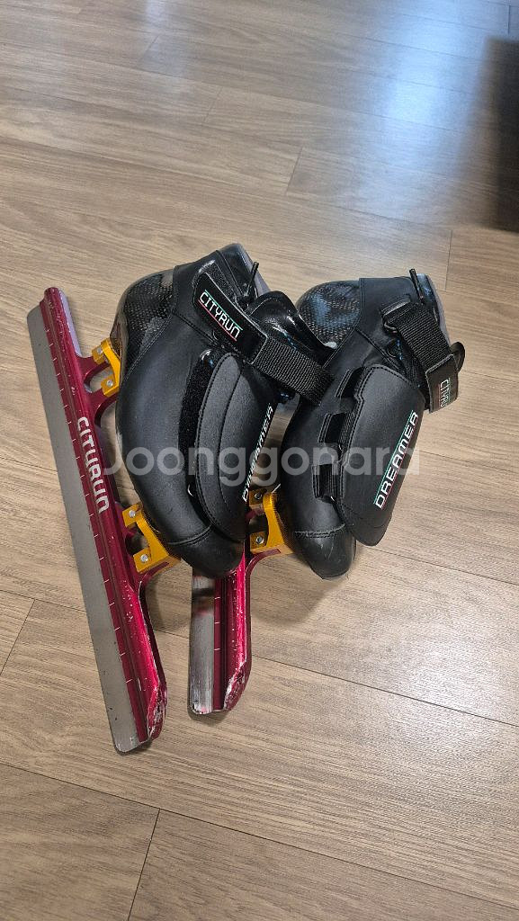 시티런 쇼트스케이트 225mm--1