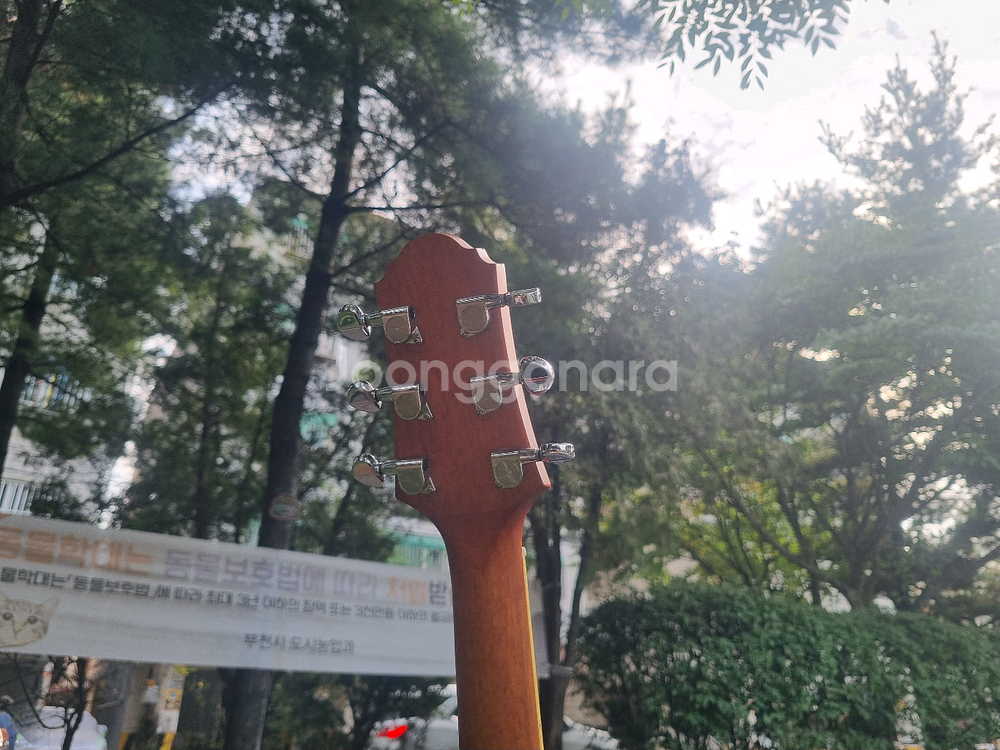 한국산 크래프터 탑솔리드 듀크 통기타 입문용 중급용--4