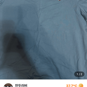 타미힐피거 브이넥 라지있습니다