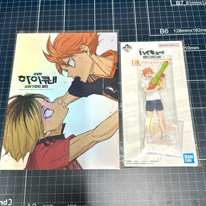 하이큐 아트카드 쿠지 히나타 아크릴