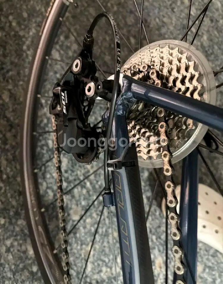 첼로 스칼라티 a7 판/대--4