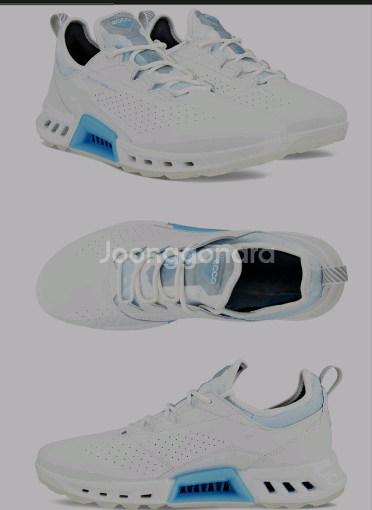 에코 고어텍스 바이옴 골프화 42 정품--0