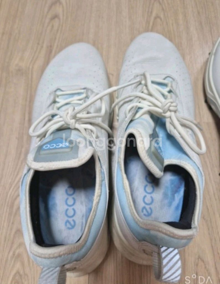 에코 고어텍스 바이옴 골프화 42 정품--2