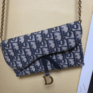 디올 오블리크 새들 체인 지갑 가방