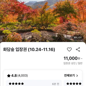 화담 모노레일 입장권 11/4일 3장삽니다