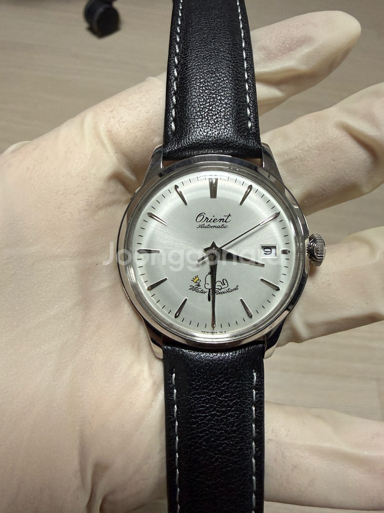 오리엔트 밤비노 75주년 스누피 한정(1회 시착)--8