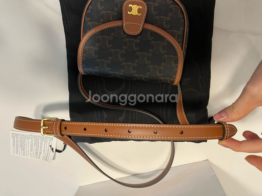 셀린느 미니 베사체--5