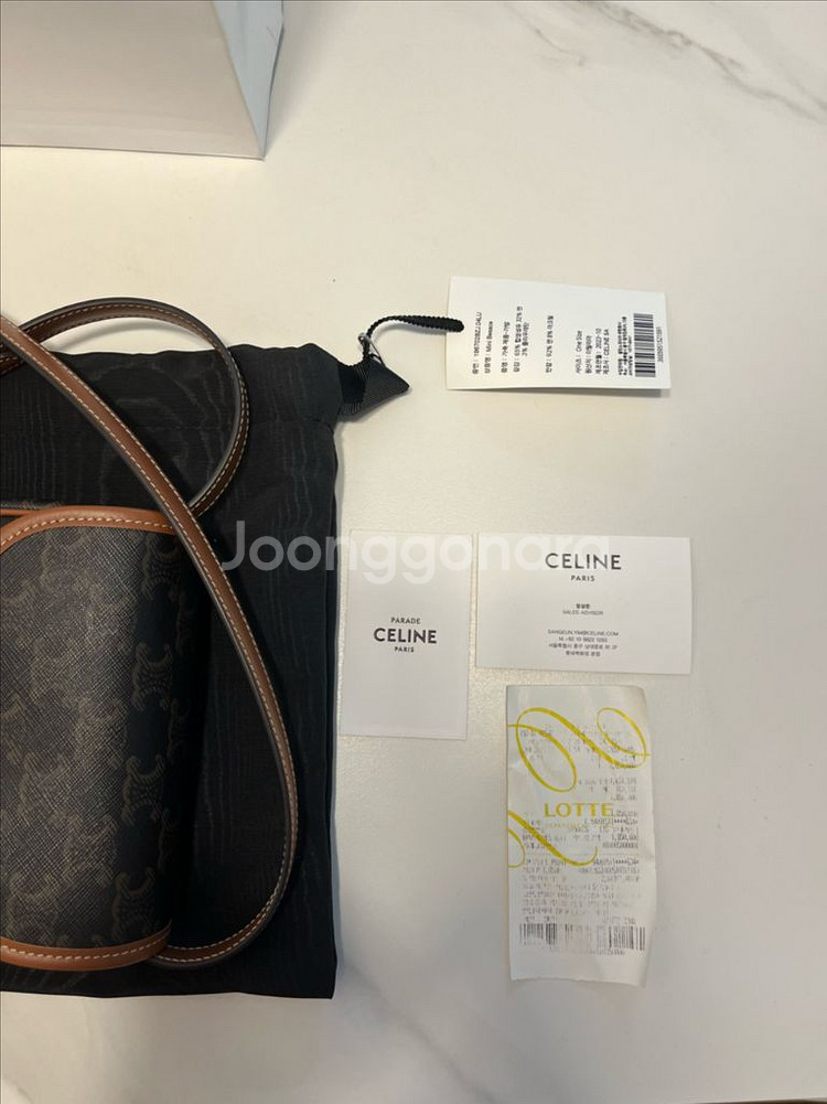 셀린느 미니 베사체--7