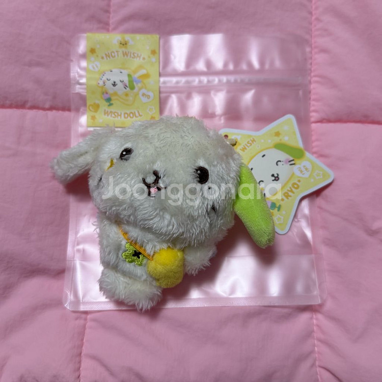 위시돌 룐룐 nct wish 엔시티 위시--0