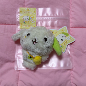 위시돌 룐룐 nct wish 엔시티 위시