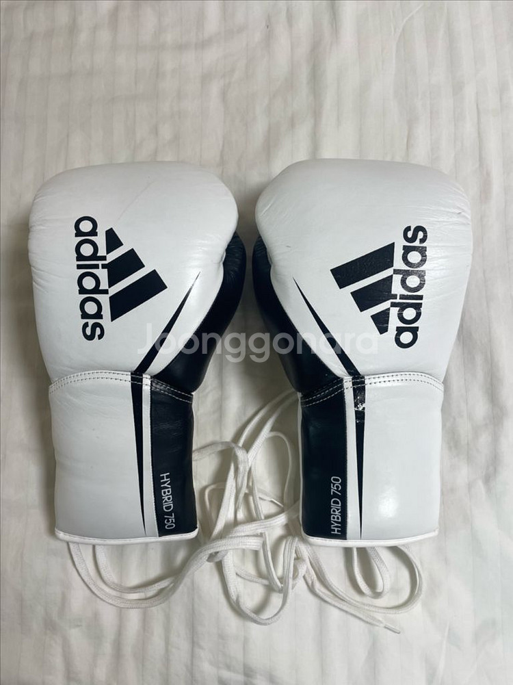 아디다스 하이브리드 750--0