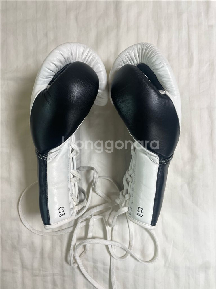 아디다스 하이브리드 750--2