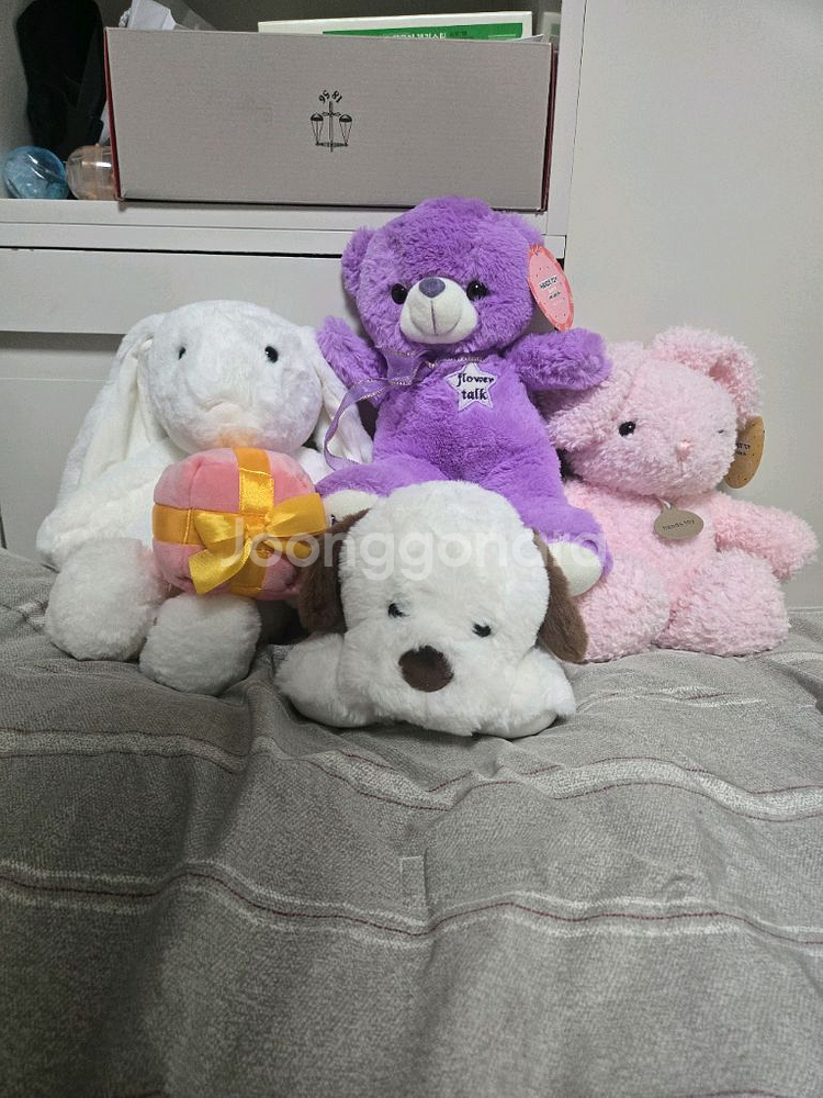 새상품) 귀여운 인형 팝니다.--0