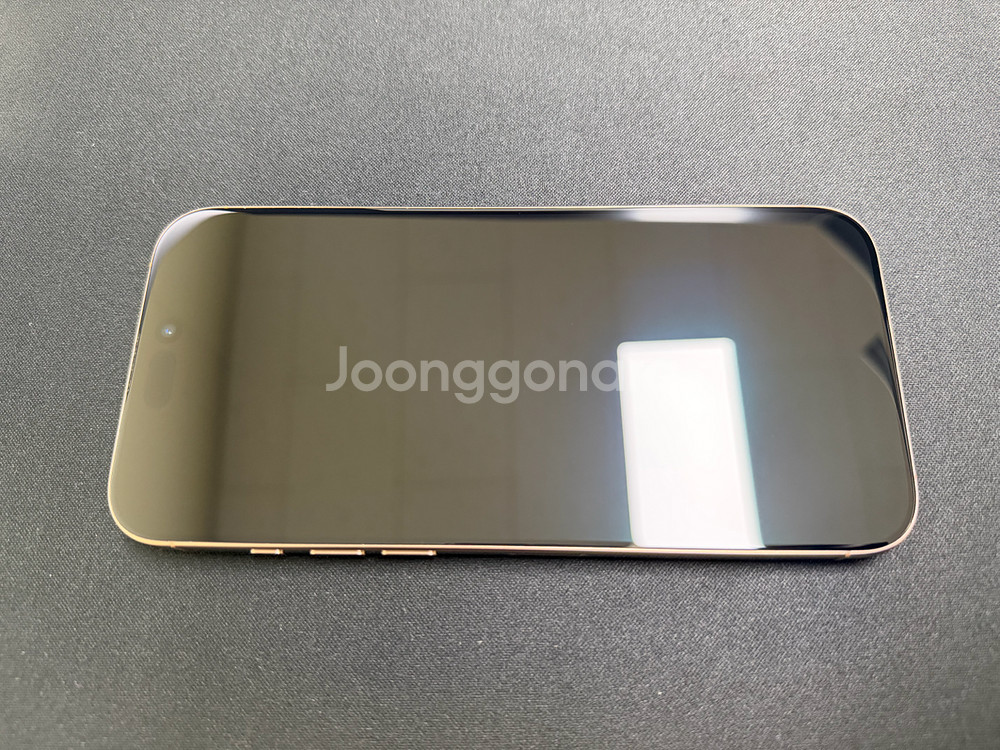 iPhone16 Pro Max 1Tb--9