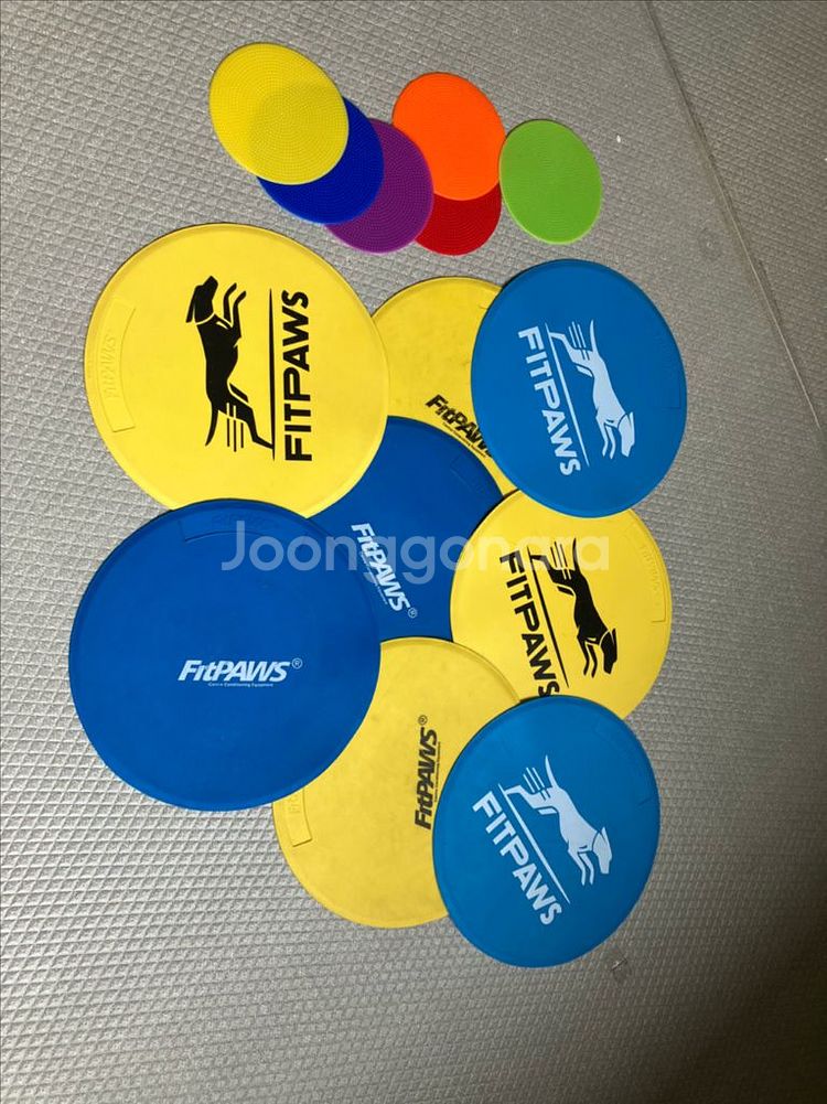 [반려견재활운동기구] fitpaws 타겟디스크 8개--0