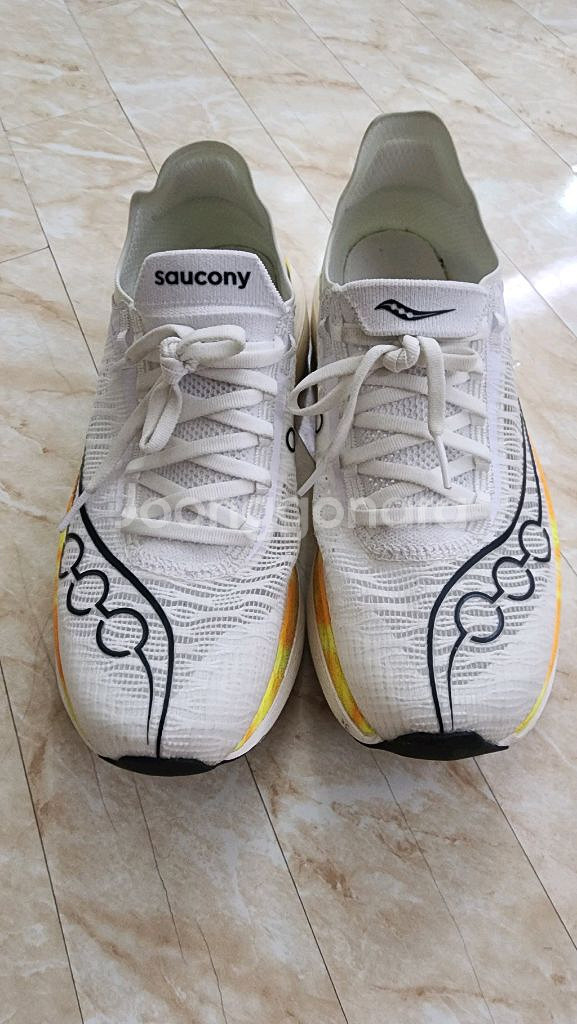 써코니엔돌핀엘리트2 사이즈260--2