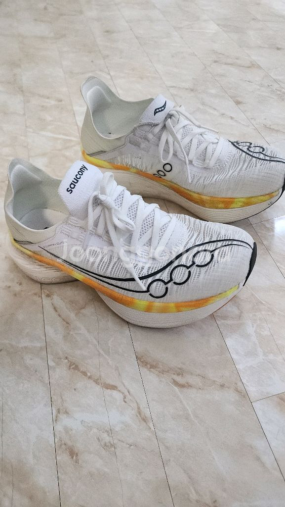 써코니엔돌핀엘리트2 사이즈260--1