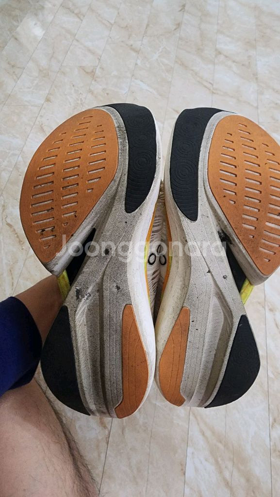 써코니엔돌핀엘리트2 사이즈260--3