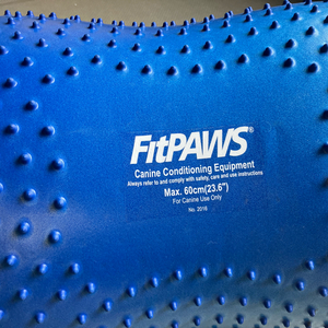 [반려견재활운동기구] fitpaws 피넛 짐볼 60cm