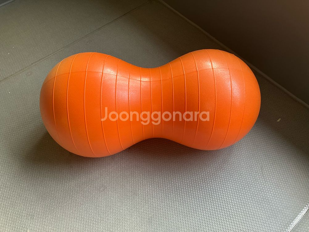 [반려견재활운동기구] 피넛 짐볼--0