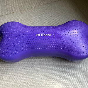 [반려견재활운동기구] fitpaws 핏본 대형