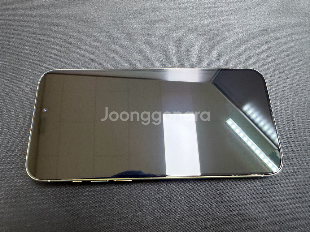 아이폰 15 프로 맥스 1TB--10