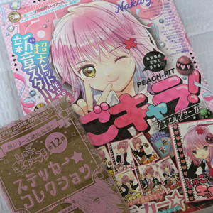 캐릭캐릭체인지 나카요시 9월호 부록포함