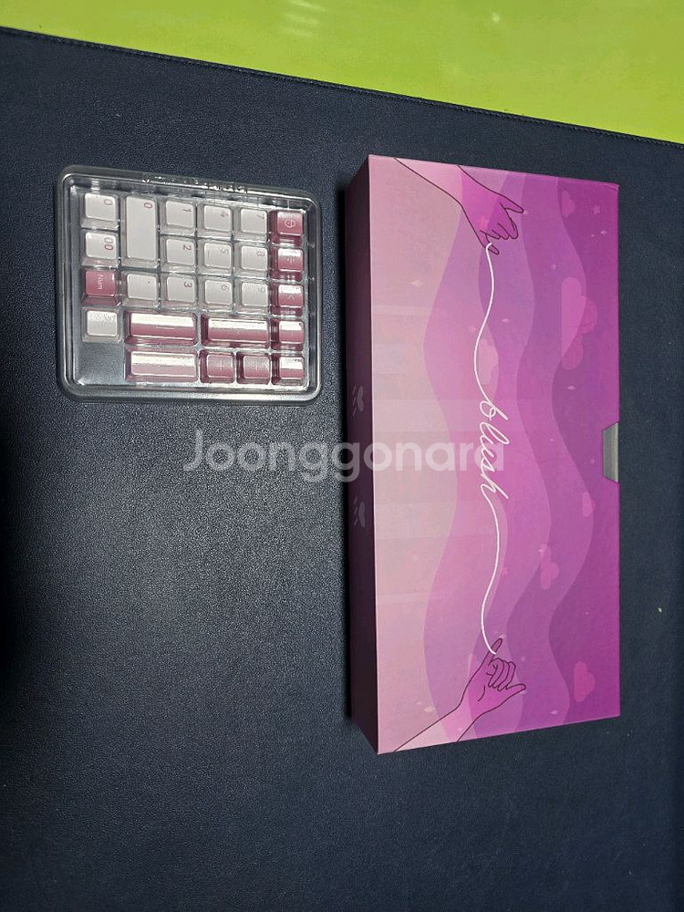 PBTFANS 키캡 다수 판매합니다.--5