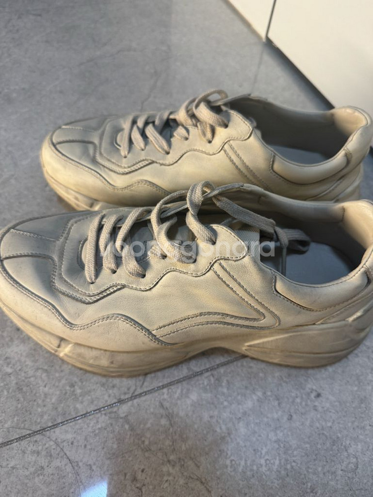 구찌 더티 라이톤 7 1/2--1