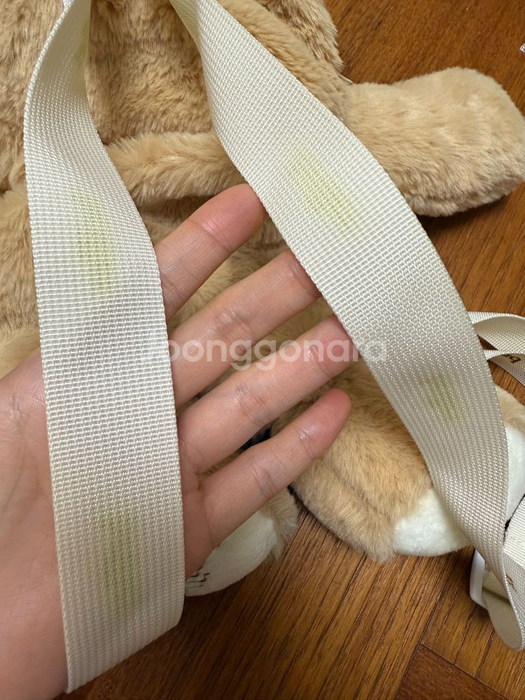 브레디베어백--3