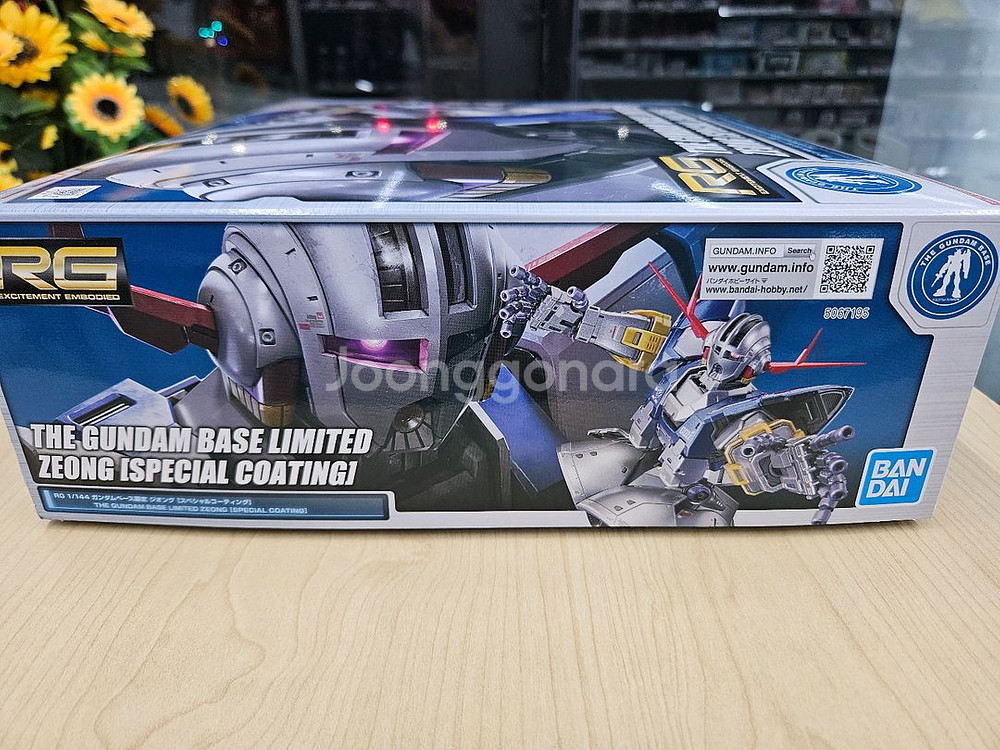 RG 지옹 스페셜코팅 반다이 건담--2