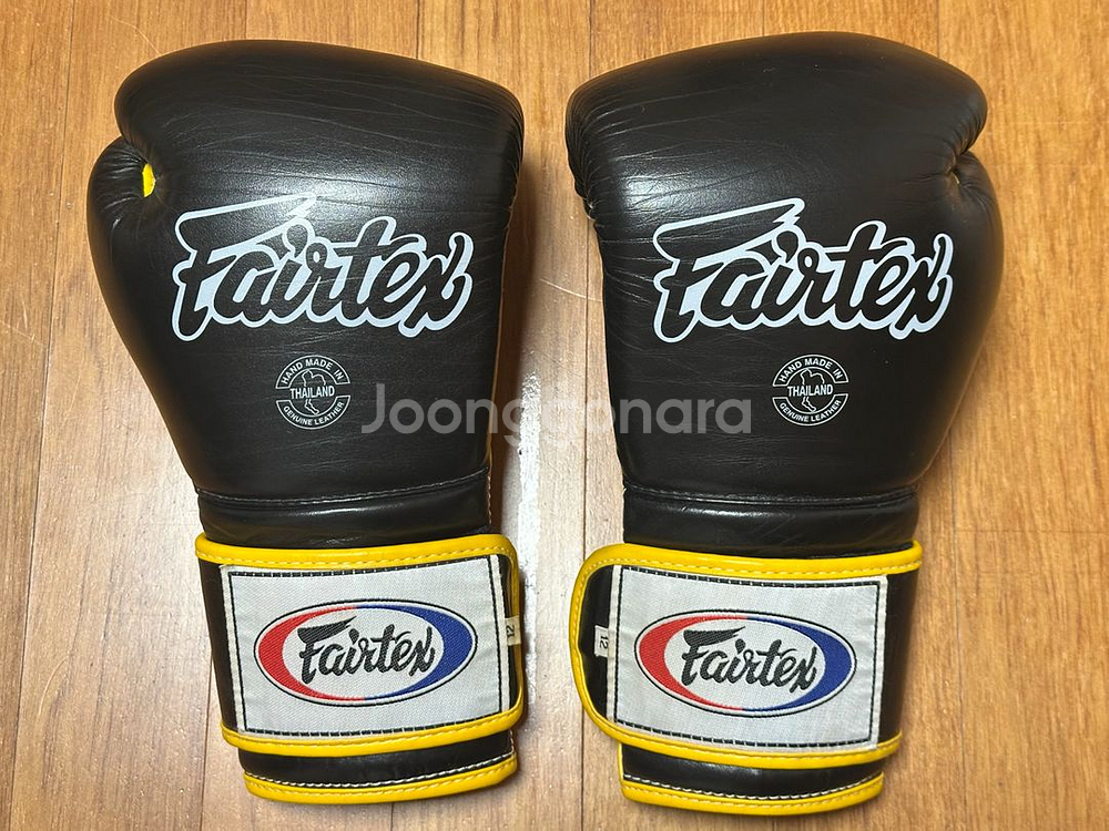 페어텍스 글러브 BGV9 12온스--0