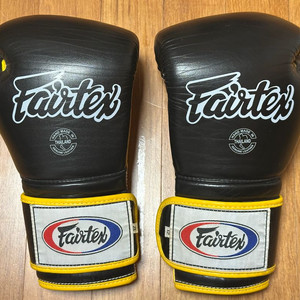 페어텍스 글러브 BGV9 12온스