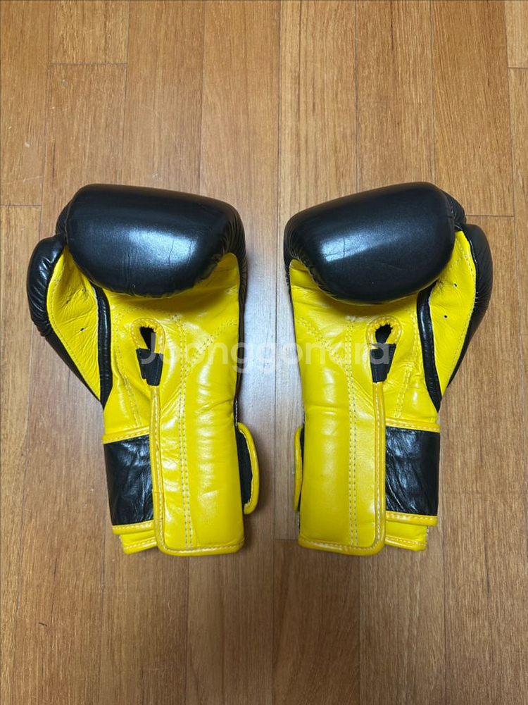 페어텍스 글러브 BGV9 12온스--1