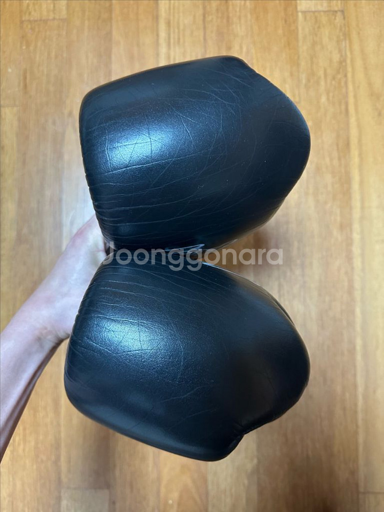 페어텍스 글러브 BGV9 12온스--3