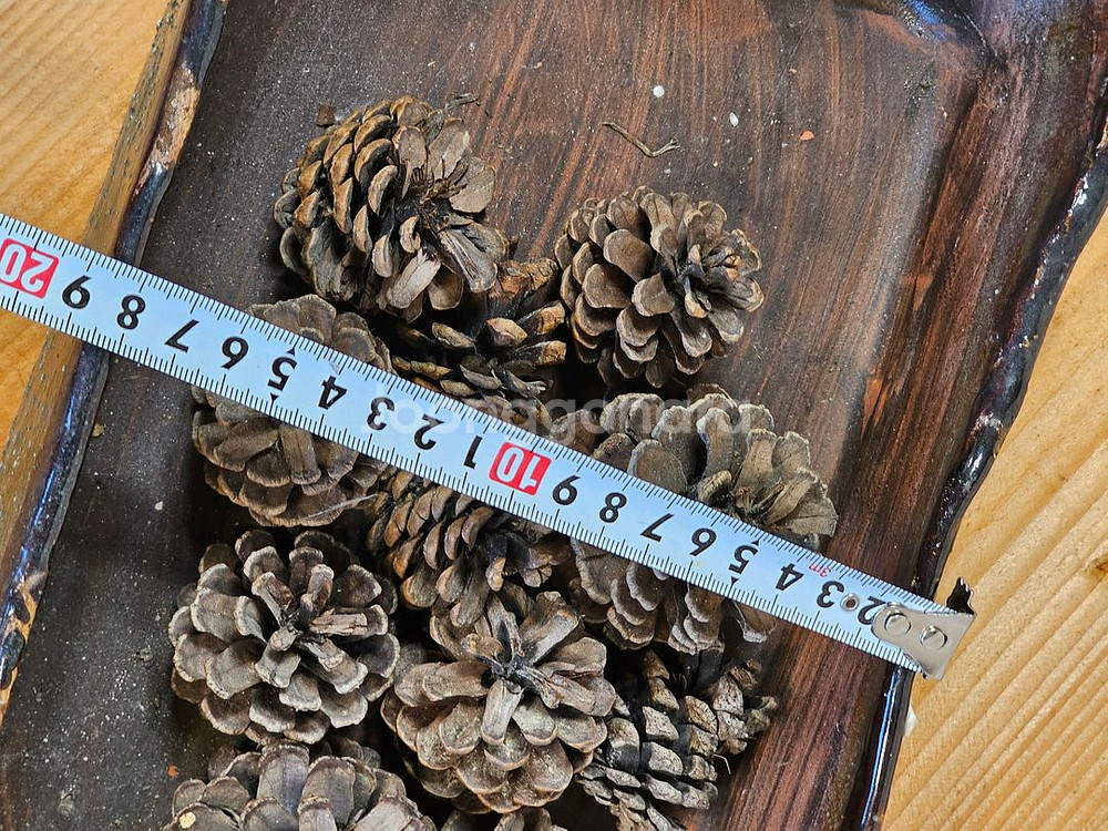 새거 옹기 숯수반 가습수반 옹기 사각수반--4