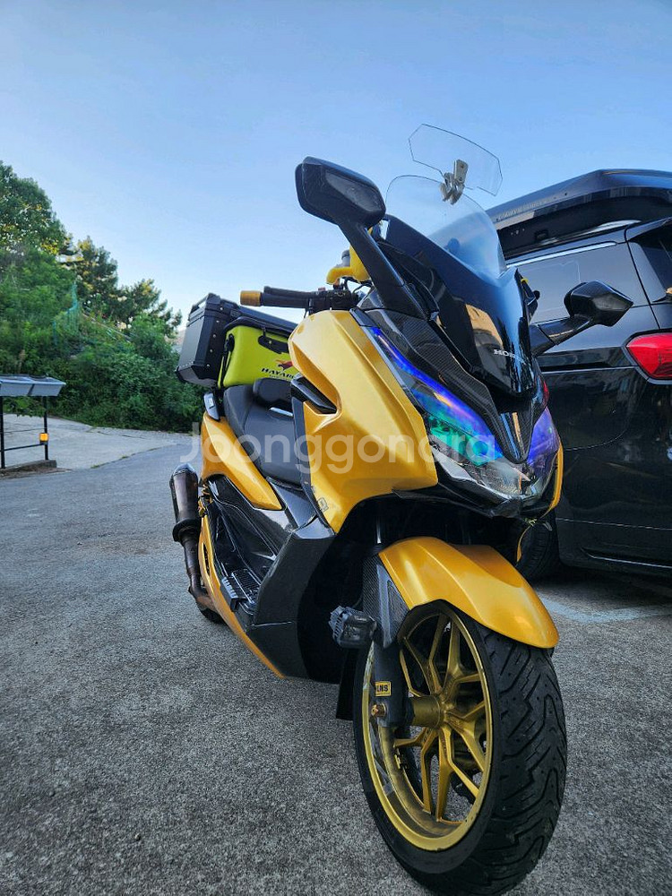 포르자 300 풀튜닝 선착순--0