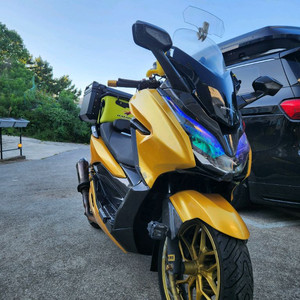 포르자 300 풀튜닝 선착순