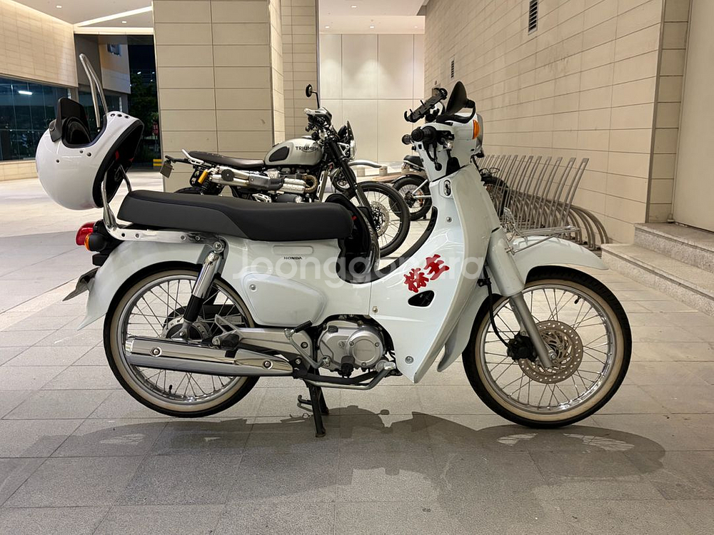 2024년 10월 신차출고 혼다 슈퍼 커브 110 흰색--0