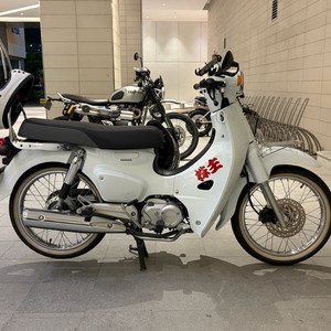 2024년 10월 신차출고 혼다 슈퍼 커브 110 흰색