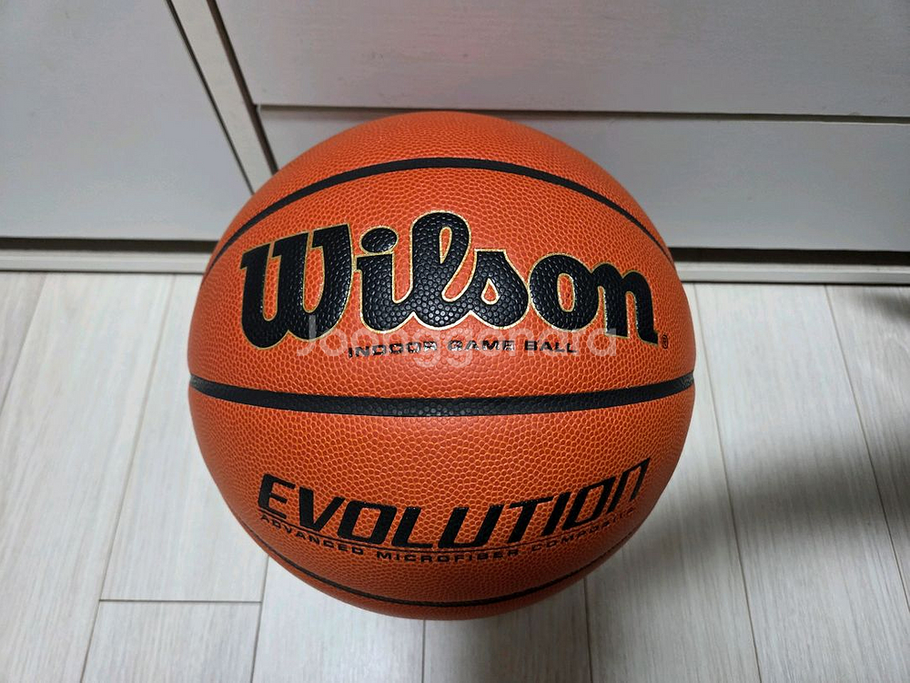 윌슨 에볼루션 농구공 7호공--1