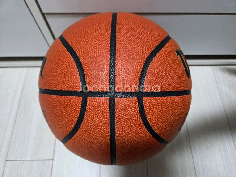 윌슨 에볼루션 농구공 7호공--4