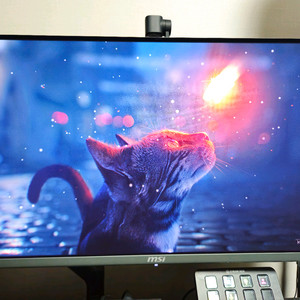 271QRX OLED 27인치 QHD 360HZ 모니터