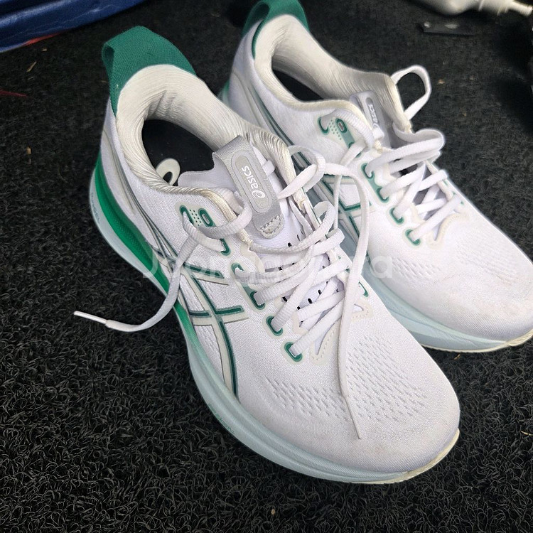 아식스 젤카야노32 255mm--0